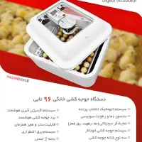 دستگاه جوجه کشی اسکندری ۹۶تایی|لوازم جانبی حیوانات|سامان, |دیوار