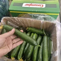 به متن توجه کنید