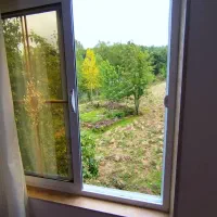 اجاره ماهیانه ویلا جنگلی جاده اسالم از مالک|اجارهٔ خانه و ویلا|تالش, تالش|دیوار