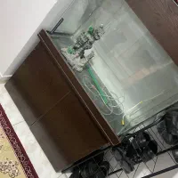 آکواریوم شیشه خم