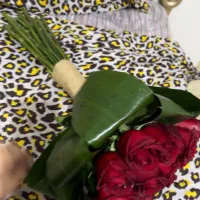 ۲۰ شاخه رز فقط ۲ تومن امروز بخرین کمترم میدم|گل و گیاه طبیعی|قدس, شهر‌قدس|دیوار