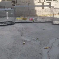 قفس جوجه پرون بزرگ فروشی