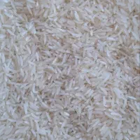 فروش برنج فجر آبیاری شده با آب چشمه|خوردنی و آشامیدنی|نوده خاندوز, |دیوار