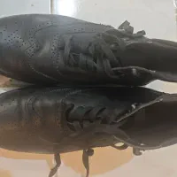 کفش|کیف، کفش، کمربند|کرج, کرج نو|دیوار