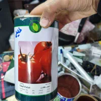 بذر گوجه فرنگی