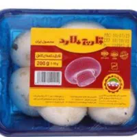 پخش قارچ کرج