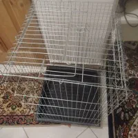قفس