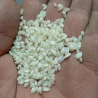 برنج رسمی زنجانرود یا برنج اش