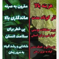 اگر میخای گل های تو خونت خوب رشد کنند بیا دایرکت|گل و گیاه طبیعی|یزد, |دیوار