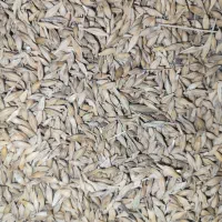 جو فروشی جلگه حدود ۲ تن|خوردنی و آشامیدنی|خانمیرزا, |دیوار