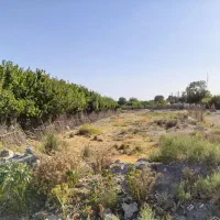 زمین ۱۲۵۰ متری، بر اصلی خ ولی‌عصر، اسکمان شهریار|فروش زمین و ملک کلنگی|شهریار, اسکمان|دیوار
