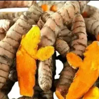 زنجبیل و زردچوبه تازه  بشرط کیفیت و تازگی