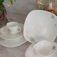 ارکوپال  چین بول