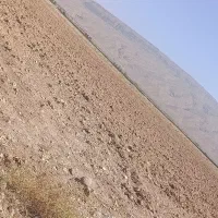 فروش زمین|فروش دفتر صنعتی، کشاورزی، تجاری|فسا, |دیوار