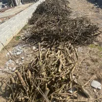خریدار چوب مرکبات