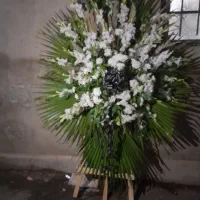 تاج گل طبیعی