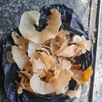 خریدو فروش انواع خشکبار سماق ،بادام،کتیرا،|خوردنی و آشامیدنی|بانه, |دیوار