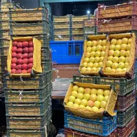 بخش عمده میوه ختم و عروسی و تمام مجلسها پک میوه