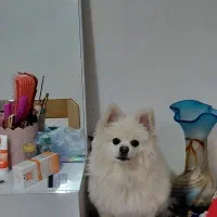 قبول واگذاری