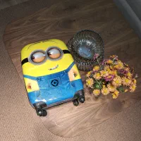 چمدان کودک|کیف، کفش، کمربند|یزد, |دیوار