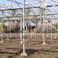 سازه گلخانه|مصالح و تجهیزات ساختمان|کازرون, |دیوار