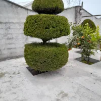هرسکاری وسم پاشی تخصصی بادستگاه علف تراشی