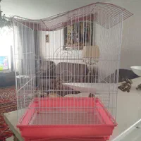قفس پرنده  عروس،نو