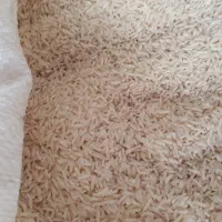 برنج هاشمی خوش عطر و پخت از شفت|خوردنی و آشامیدنی|رشت, پل تالشان|دیوار