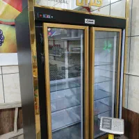 یخچال جنرال فوق العاده کم کار