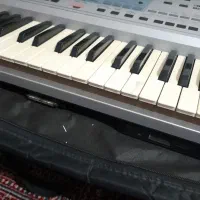 ارگ|پیانو، کیبورد، آکاردئون|معصومیه, |دیوار