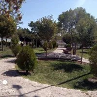 خدمات باغبانی ( ویژه )|خدمات باغبانی و درختکاری|تبریز, |دیوار