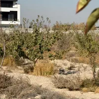 باغ،باغچه،چهاردیواری سند تک برگ