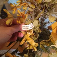 گلدان|گل مصنوعی|تهران, سازمان برنامه شمالی|دیوار