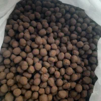 پخش کلی بره موم کوهستان