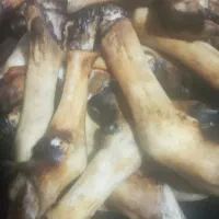 کله پاچه پاک شده گوسفندبومی|خوردنی و آشامیدنی|اسالم, |دیوار