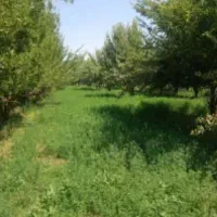 فروش زمین