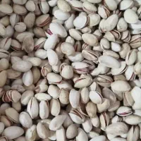 خرید و فروش گیاهان دارویی و خشکبار|خوردنی و آشامیدنی|داراب, |دیوار