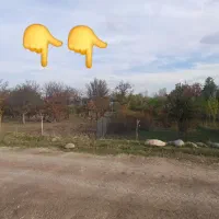 باغ محدوده روستای باروق