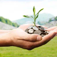 مشارکت و سرمایه‌گذاری