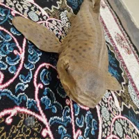 مجسمه ماهی|مجسمه، تندیس، ماکت|بوشهر, |دیوار