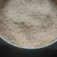 فروش برنج هاشمی ارگانیک بدون سموم