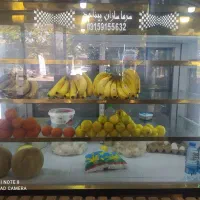 یخچال|فروشگاه و مغازه|مینودشت, |دیوار