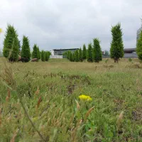 200م زمین جنگلی/انشعابات سر ملک‌.سند تک برگ|فروش زمین و ملک کلنگی|چمستان, |دیوار