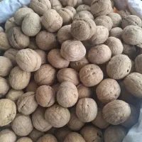 گردو‌محلی مغز سفید چرب وخوشمزه