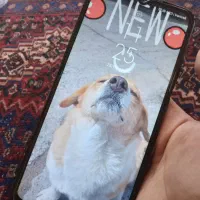 گوشی شیائومی a9