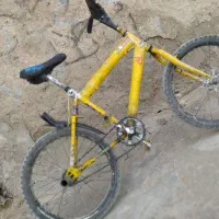 دوچرخه بیست هستش