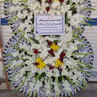 تاجگل و ماشین عروس طبیعی|گل مصنوعی|بهار, |دیوار