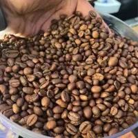 بخش قهوه عمد خورده.ارسال.رایگان