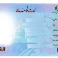 مدارک گمشده رضا ثامری پور