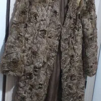 پالتو مزونی